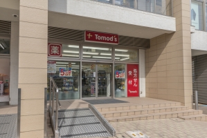 アールヴェール宮前平の周辺施設：トモズ宮前平店