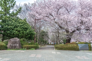 ラトリエ吉祥寺の周辺施設：仙川公園