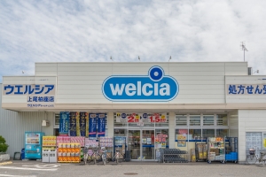 フィーリア上尾の周辺施設：ウエルシア上尾柏座店