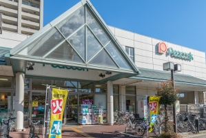 東京プライムウエストの周辺施設：ピーコックストア花小金井店