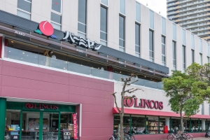 幕張ベイタウン ファーストウィングの周辺施設：リンコスベイタウン店