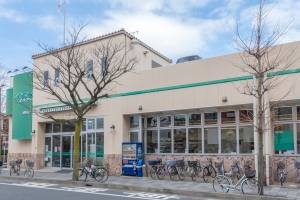 マスターズアドレス湘南松風 の周辺施設：しまむらストアー駅前店