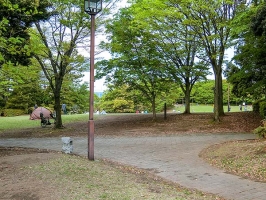 Brillia 多摩センター の周辺施設：多摩中央公園