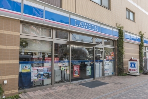 ザ・コスギタワーの周辺施設：ローソン-中原中丸子店