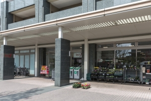ザ・コスギタワーの周辺施設：デリド武蔵小杉店