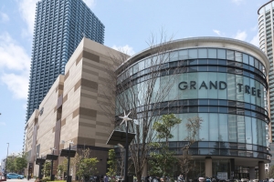 ザ・コスギタワーの周辺施設：GRAND TREE MUSASHIKOSUGI