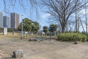 ザ・コスギタワーの周辺施設：中原平和公園