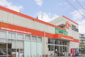 ココロコス東京久米川の周辺施設：オザム美住町店