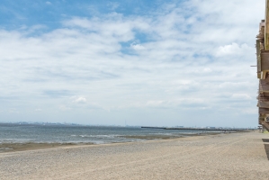 Brillia 稲毛海浜公園 の周辺施設：稲毛海岸