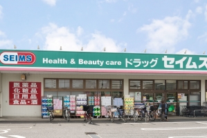 Brillia 草加の周辺施設：ドラッグセイムス草加氷川町薬局
