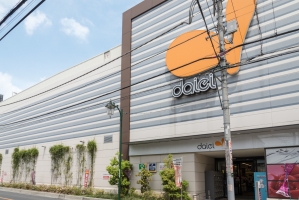 Brillia 草加の周辺施設：ダイエー草加店