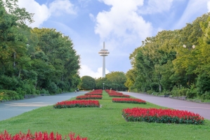 Brillia Tower 所沢ロジュマンの周辺施設：所沢航空記念公園