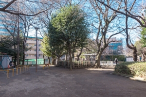 ザ・タワーレジデンス大塚の周辺施設：巣鴨公園