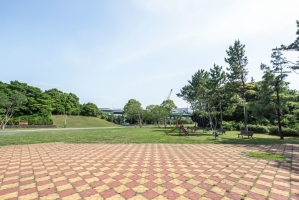 Brillia 辰巳 CANAL TERRACEの周辺施設：辰巳の森海浜公園