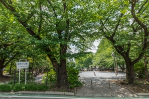 Brillia 宮前平の周辺施設：宮前平公園