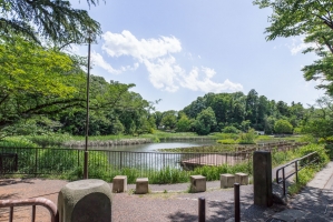 Brillia 藤が丘の周辺施設：もえぎ野公園