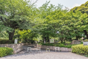 Brillia 滝野川 の周辺施設：飛鳥山公園