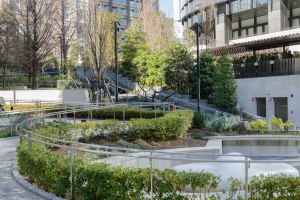 ワテラスタワーレジデンスの周辺施設：淡路公園