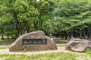 Brillia 成増 ステーションフロントの周辺施設：光が丘公園