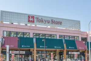T-STYLIAの周辺施設：東急ストア綱島店