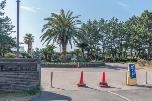 オーシャンレジデンス辻堂海浜公園の周辺施設：辻堂海浜公園