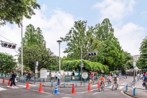 Brillia 板橋大山の周辺施設：板橋交通公園