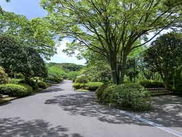 Brillia City 横浜磯子の周辺施設：久良岐公園