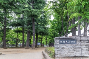 Brillia 大山町 の周辺施設：板橋大山公園