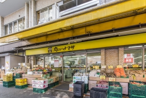 Brillia 田端 の周辺施設：肉のハナマサ動坂店