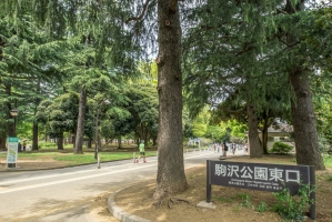 Brillia 駒沢大学の周辺施設：駒沢公園