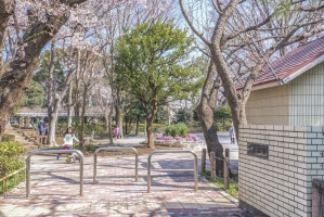 Brillia 大井仙台坂 の周辺施設：大井公園