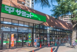 クレヴィア蘆花公園 の周辺施設：サミットストア千歳台店