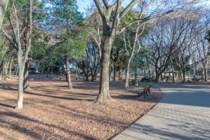 クレヴィア蘆花公園 の周辺施設：蘆花恒春園