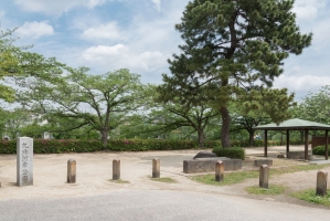 Brillia 草加 GRAND-SUITEの周辺施設：札場河岸公園