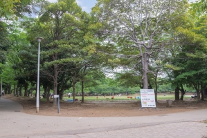 東建ニューハイツ蕨市民公園の周辺施設：蕨市民公園