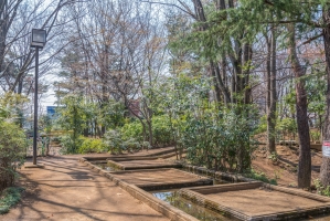 グランヴェール国分寺 壱番館の周辺施設：けやき公園