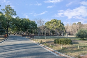 ウィズウィース渋谷神南の周辺施設：代々木公園