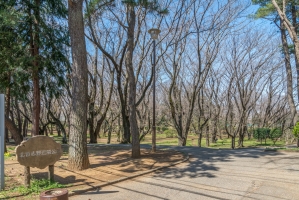 東建北習志野マンションの周辺施設：北習志野近隣公園