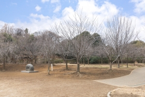東建ニューハイツ鷺沼の周辺施設：宮前美しの森公園