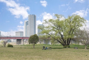 東建多摩川マンションの周辺施設：高津せせらぎ公園