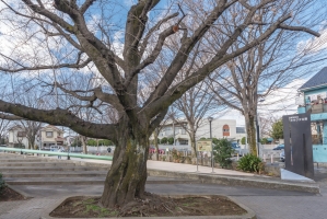 東建中村橋マンションの周辺施設：ガラクタ公園