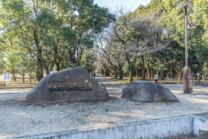 東建ニューハイツ成増の周辺施設：光が丘公園
