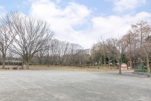 ル・ミストラル茅ヶ崎の周辺施設：茅ケ崎市中央公園