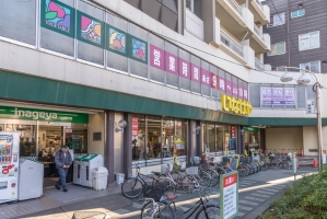 東建柏木マンションの周辺施設：いなげや新宿小滝橋店