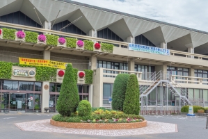 東建ニューハイツ川口の周辺施設：川口市役所