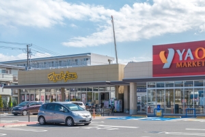 東建ニューハイツ市川の周辺施設：マツモトキヨシ市川新田店