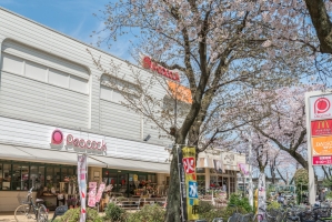 グランソシエ国立　イーストウィングの周辺施設：ピーコックストア-国立さくら通り店