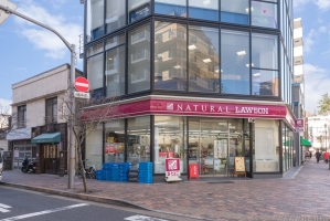 広尾ハイツの周辺施設：ナチュラルローソン広尾5丁目店