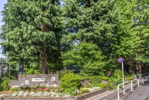 Brillia 早稲田 の周辺施設：鶴巻南公園