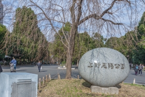 Brillia 本郷三丁目の周辺施設：上野恩賜公園